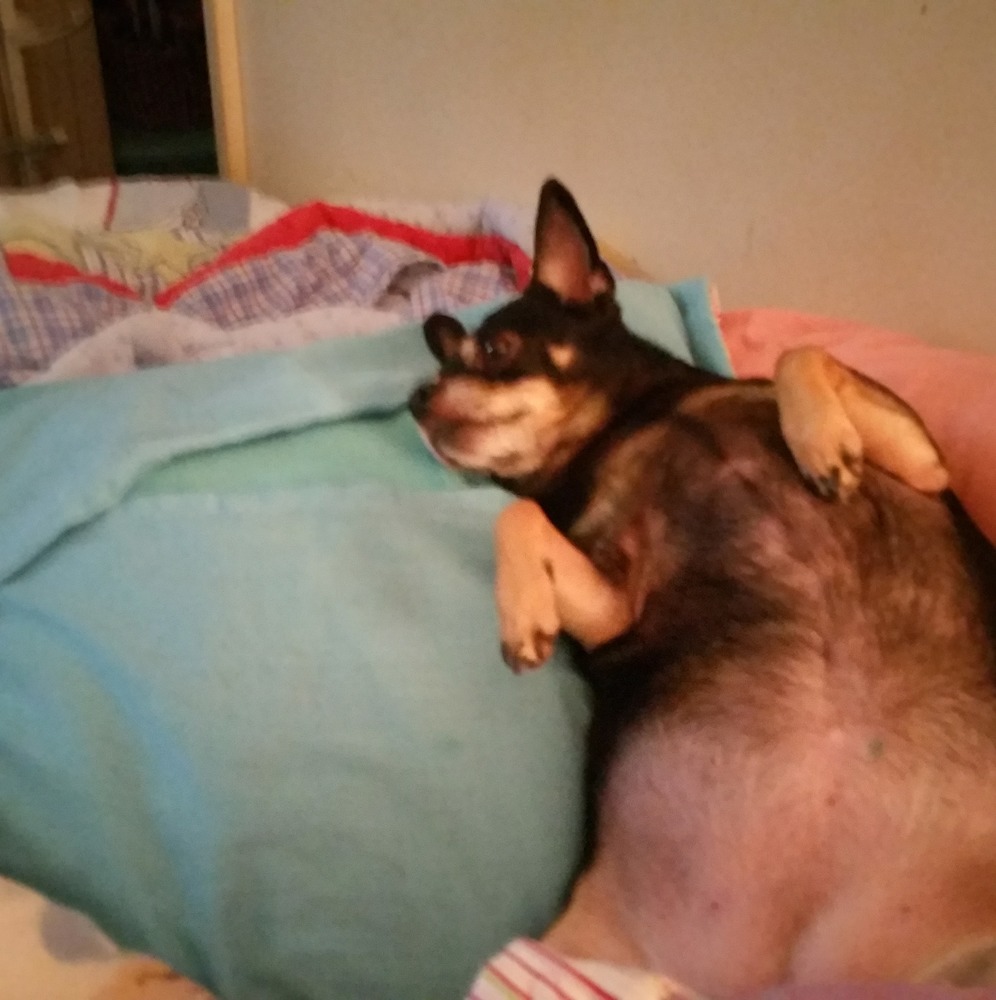 Meet your Posher, Nickye